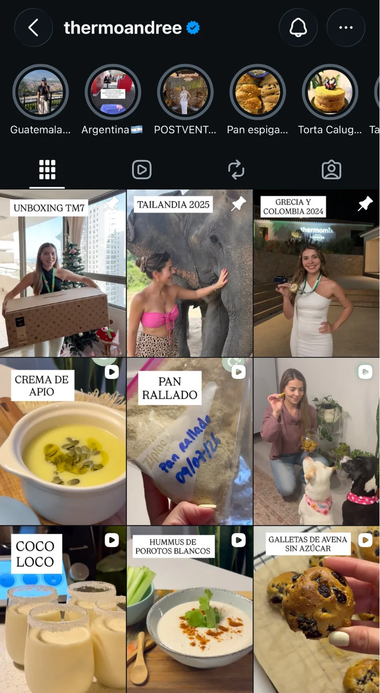Instagram de ThermoAndree antes: fotos y reels sin una línea visual común