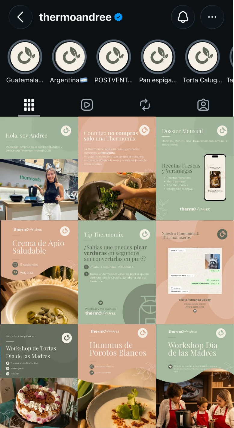 Instagram de ThermoAndree después: piezas con su paleta, tipografías e isotipo